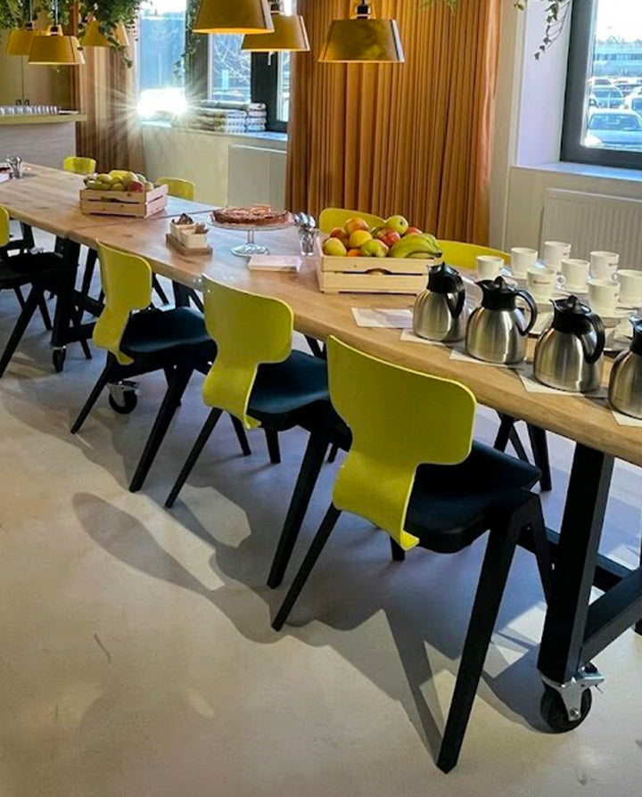 Rex Partial Domestic