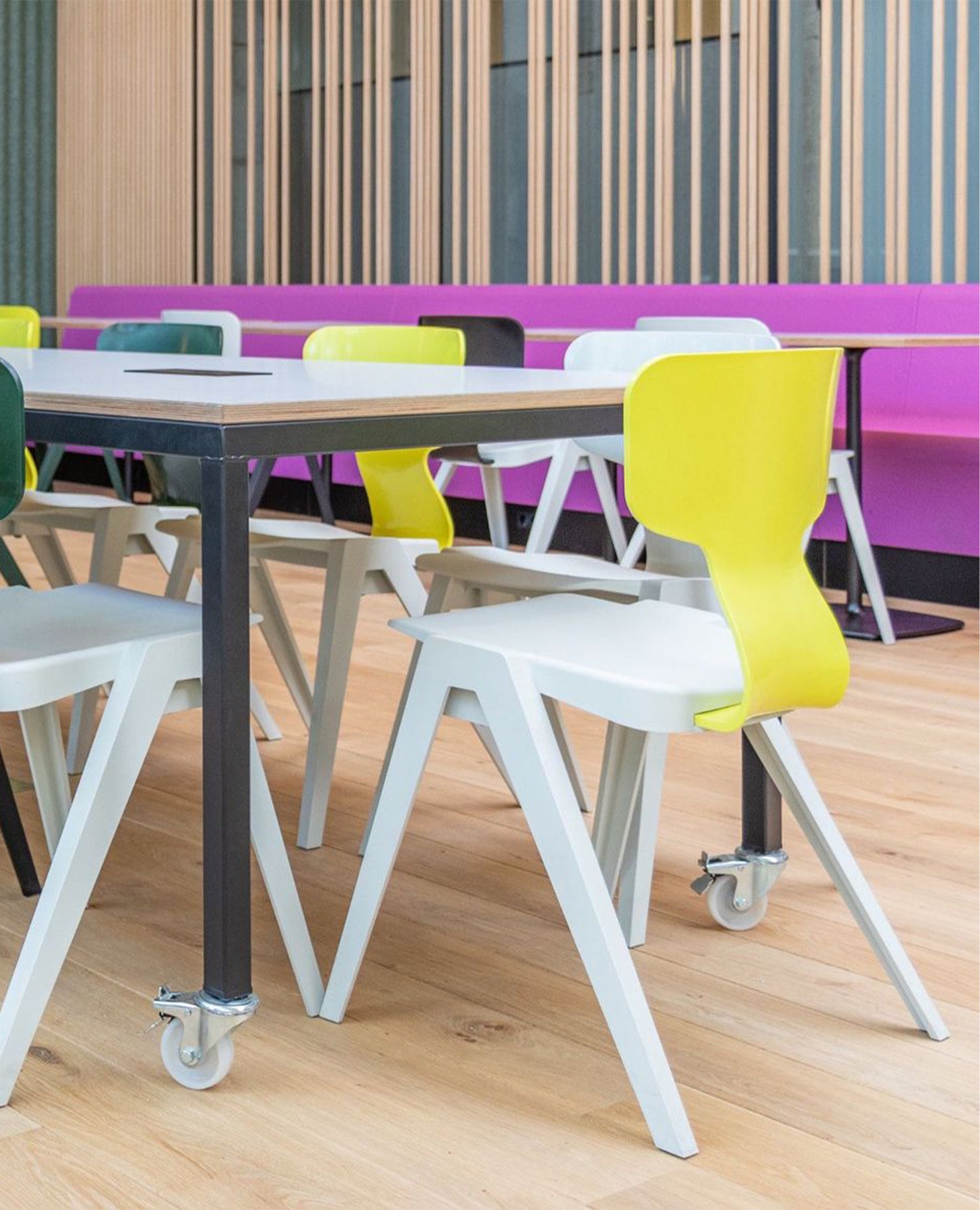 Rex Chair