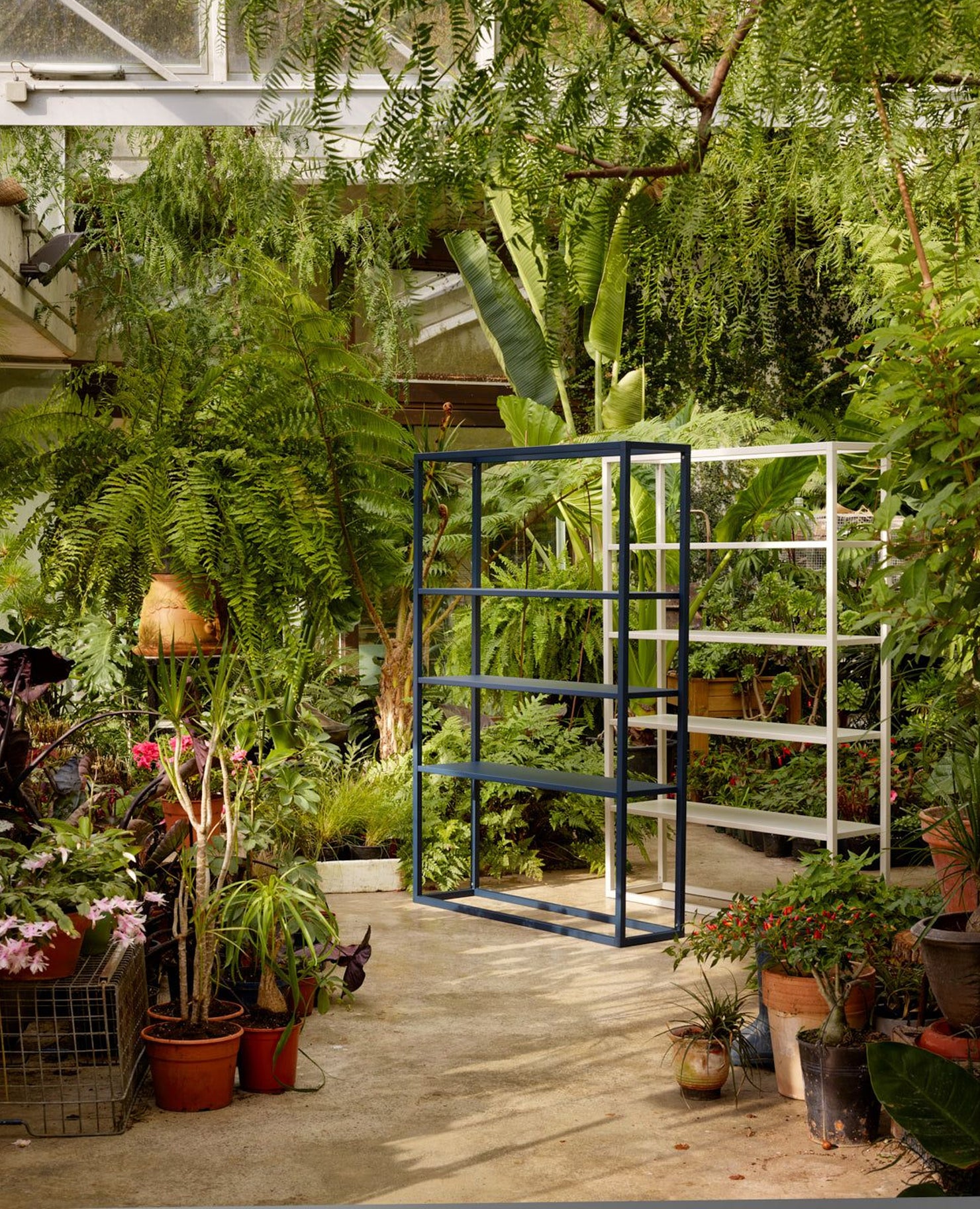 Dry Shelving, 52" Width, 6-Tier - 13.75" Depth