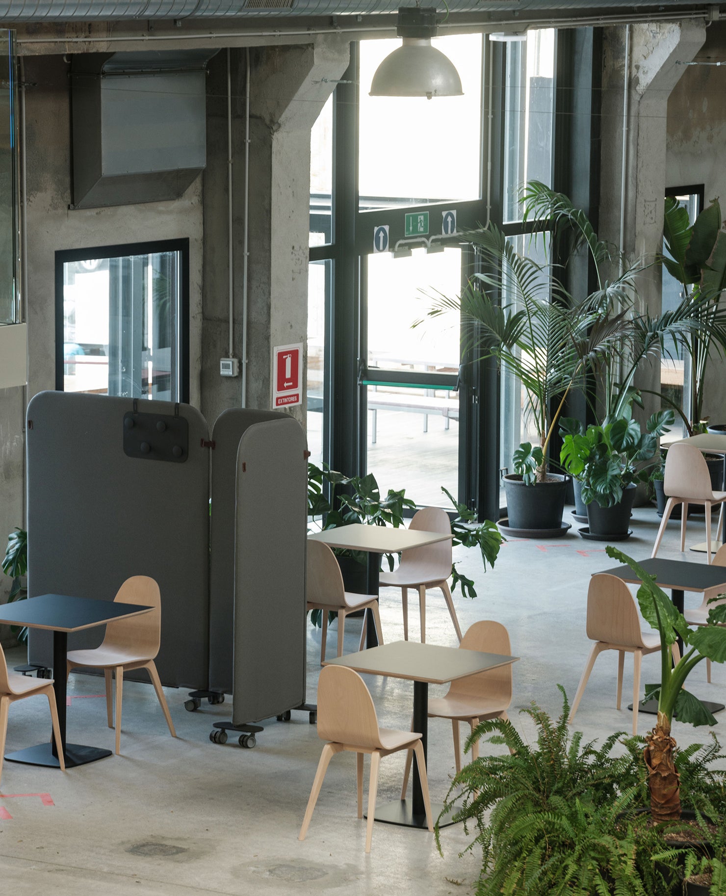 Nadia Chair, Narrow Width, Wood Frame - Bentwood Seat